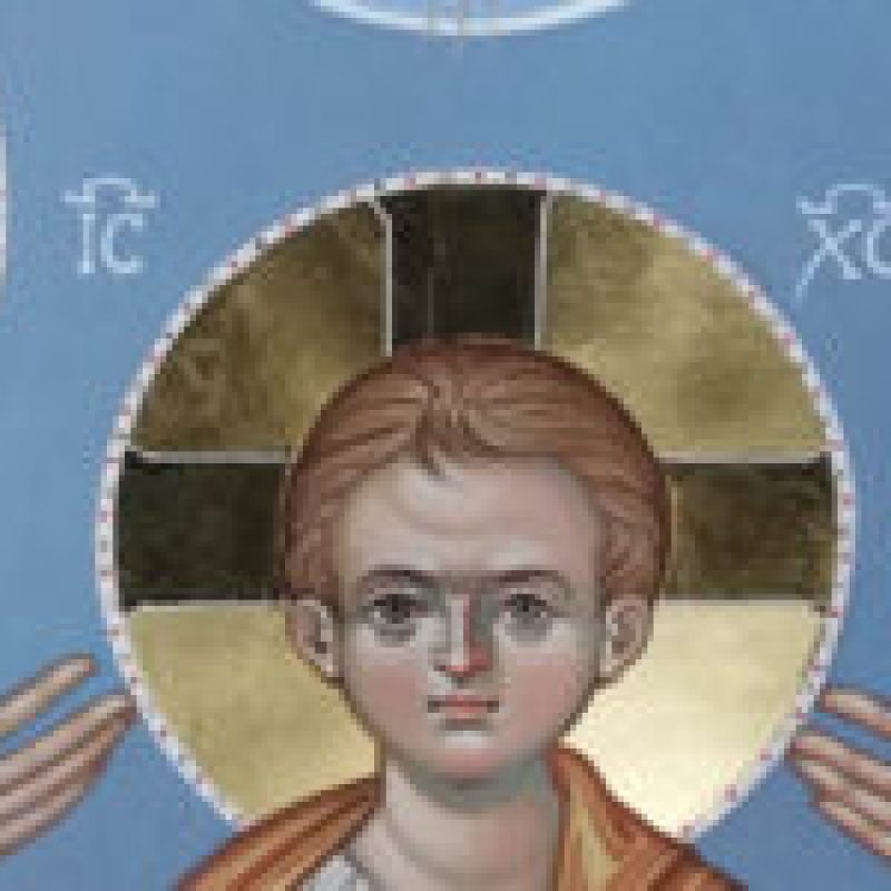 Mostra S. Famiglia: il video della presentazione